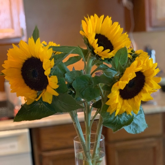 Meet your Posher, Megan - Picture 1 of 1